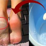 Conviértete en un comprador inteligente: Todo lo que necesitas saber sobre cómo pedir tus vacaciones en Amazon