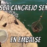 Cangrejo de río: Encuentra la mejor calidad y precio en Mercadona
