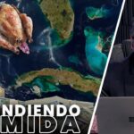 Descubre los secretos del exquisito Mallacan Vino: una experiencia de sabor única
