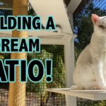 Todo lo que necesitas saber sobre los catios en Leroy Merlin: la solución perfecta para mimar a tu gato