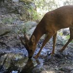 Todo lo que necesitas saber sobre los calientacamas en Alcampo: una guía completa para compradores